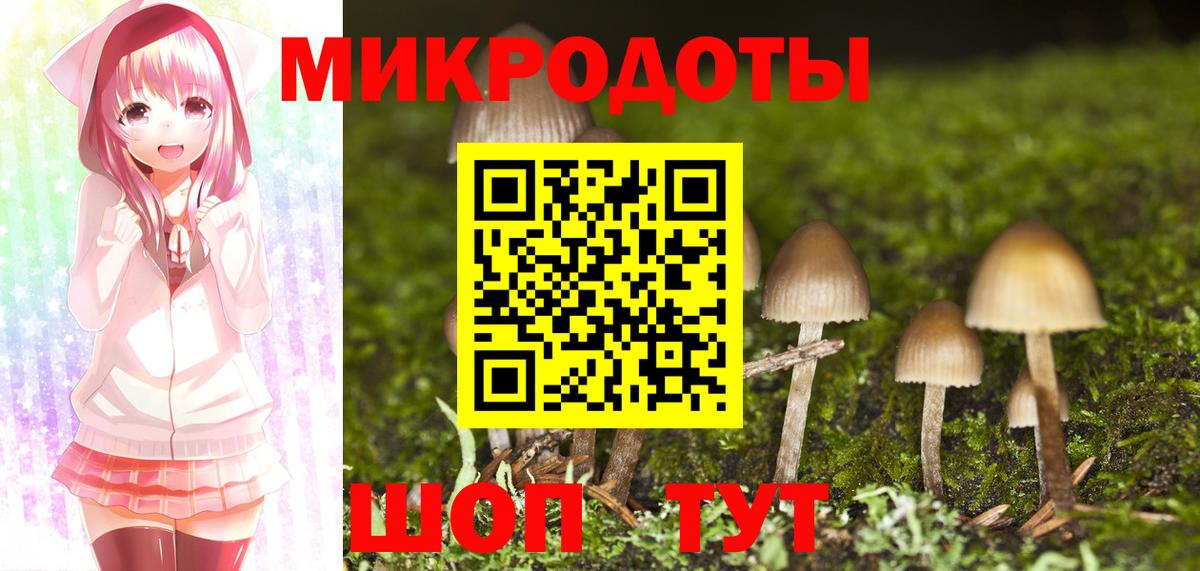 Будённовск  Галлюциногенные грибы Psilocybe  Вход с VPN 