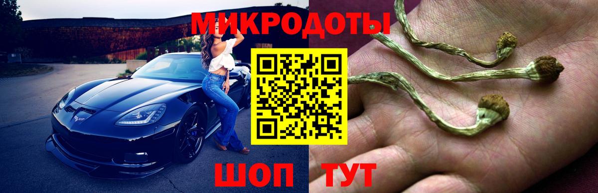 Галлюциногенные грибы ЛСД Будённовск